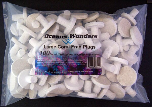 Large coral frag plus, Ocean wonder