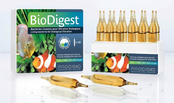 Biodigest 30 ampollas, Prodibio