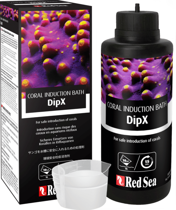 DipX, Red Sea